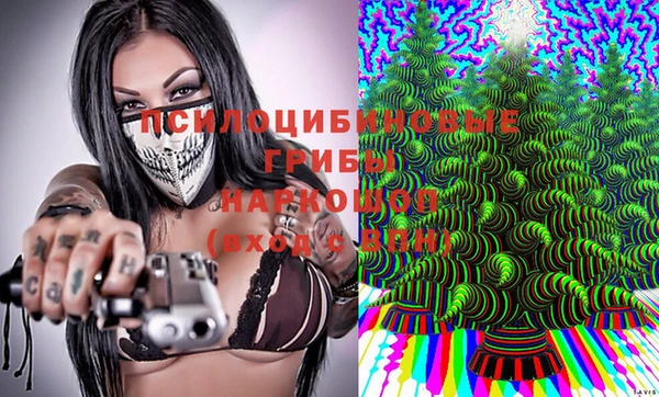 ГАЛЛЮЦИНОГЕННЫЕ ГРИБЫ Абдулино