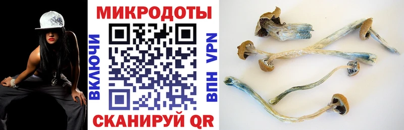 Галлюциногенные грибы Magic Shrooms Инза
